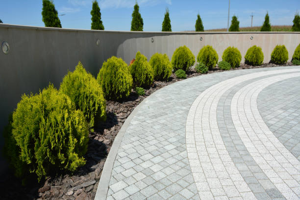 Reasons to Select Us for Your Driveway Paving Requirements in Campbell, OH